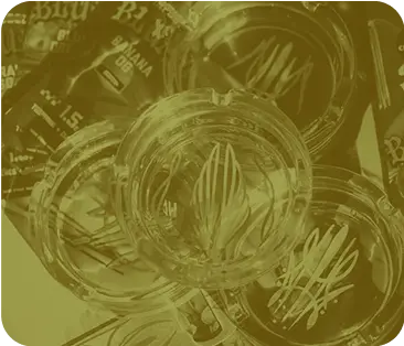 BRAND SWAG rewards category