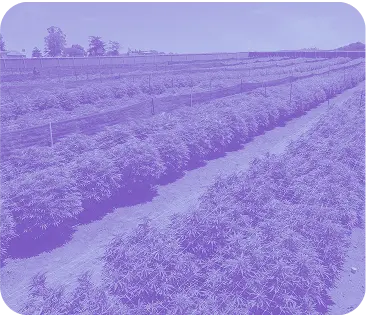 FARM TOURS rewards category